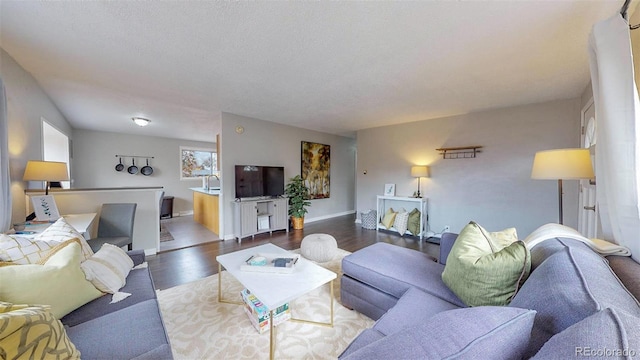 living room with wood-type flooring