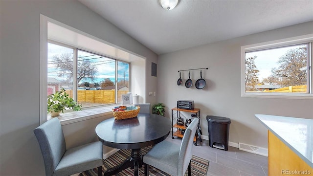 dining space featuring plenty of natural light