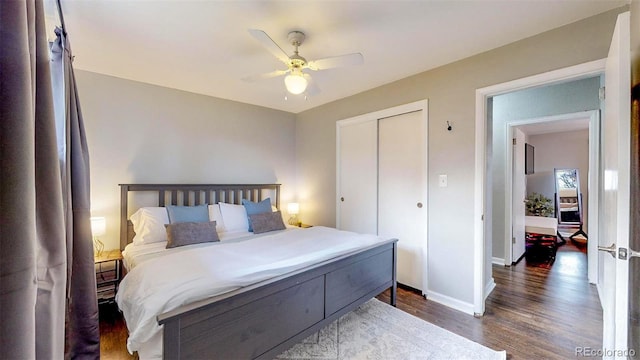 bedroom with ceiling fan, a closet, and dark hardwood / wood-style flooring