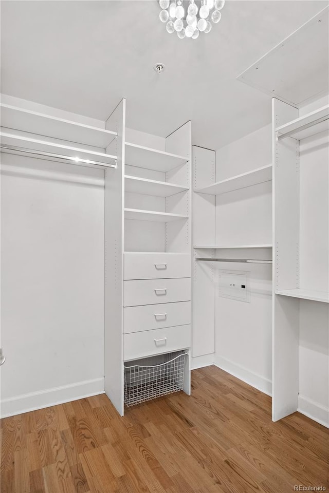 spacious closet with wood finished floors