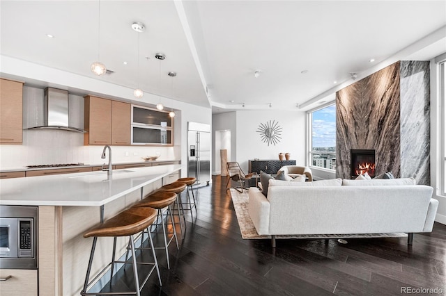 living area featuring a fireplace and dark wood-type flooring