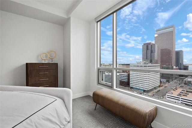 bedroom with a view of city, carpet, and baseboards