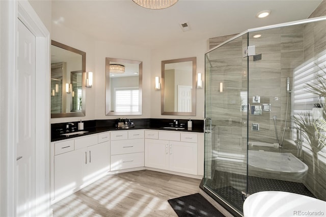 bathroom with vanity and a shower with shower door