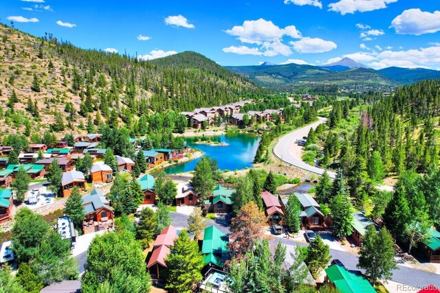 85 Revett Dr Unit 40, Breckenridge, CO 80424 - photo 44