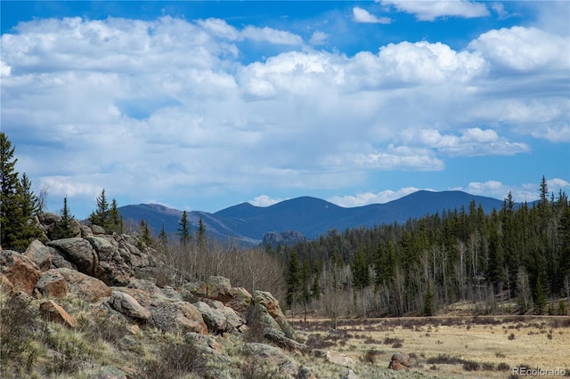 525 Swiggler Rd, Jefferson, CO 80456
