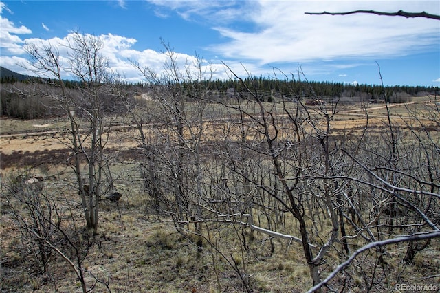 525 Swiggler Rd, Jefferson, CO 80456