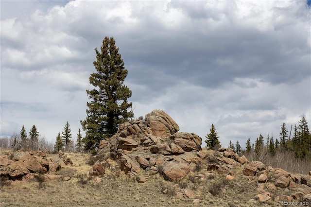 525 Swiggler Rd, Jefferson, CO 80456