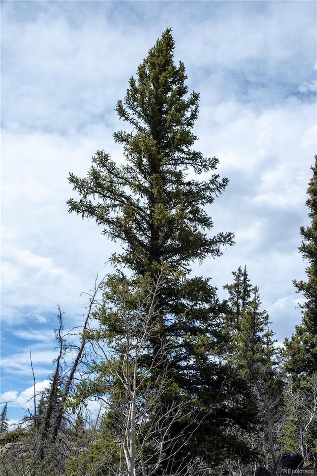 525 Swiggler Rd, Jefferson, CO 80456
