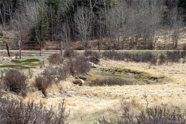525 Swiggler Rd, Jefferson, CO 80456