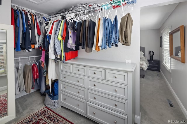 walk in closet featuring visible vents and carpet