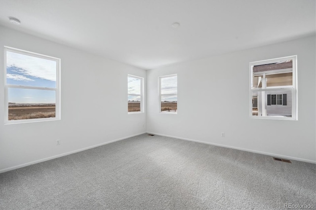 spare room featuring carpet floors