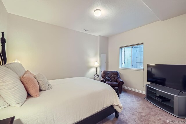 7452 S Utica St, Littleton, CO 80128 - photo 32