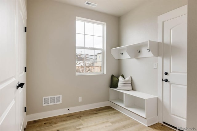 mudroom with plenty of natural light, light wood-style floors, and baseboards