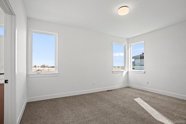 empty room featuring plenty of natural light and carpet floors