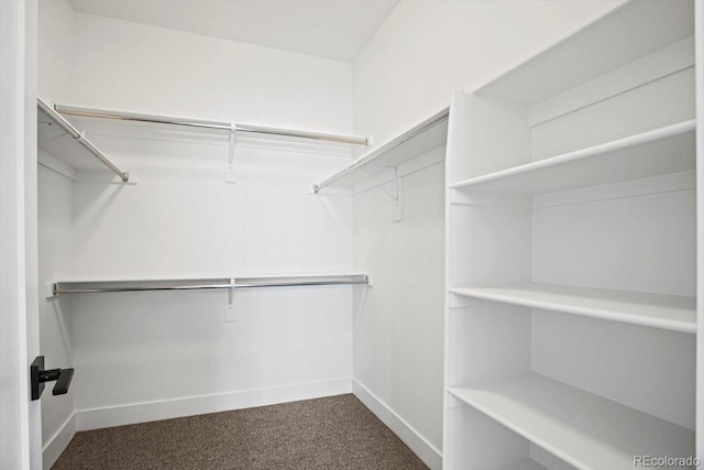 spacious closet with dark colored carpet