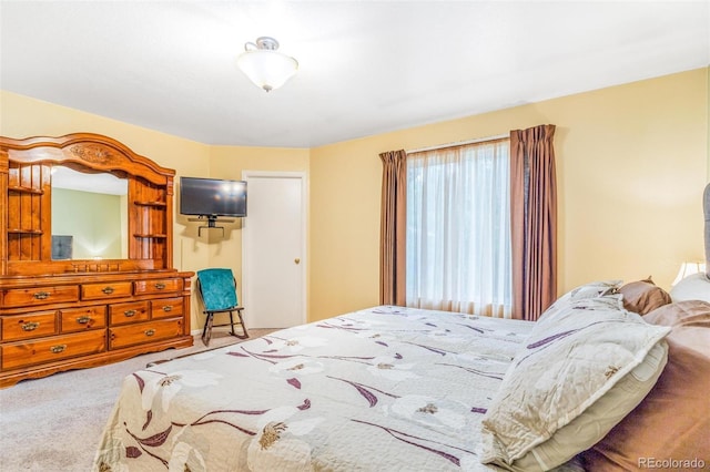 5320 E 100th Dr, Thornton, CO 80229 - bedroom with carpet floors