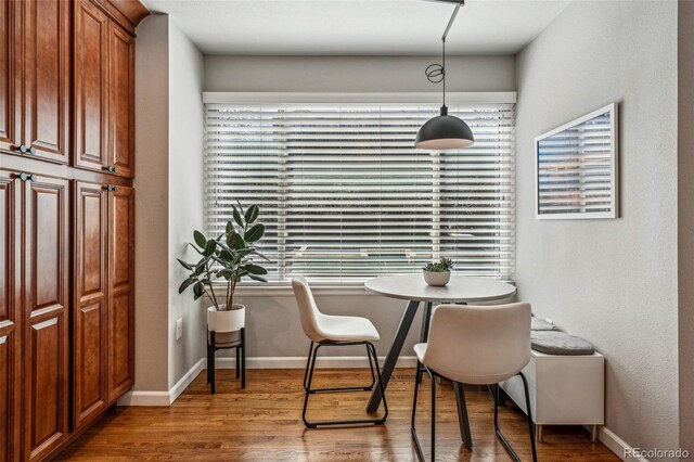 dining room featuring plenty of natural light, baseboards, and wood finished floors