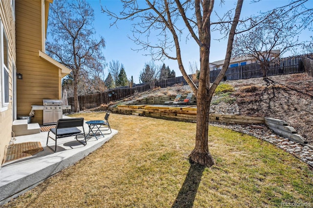 view of yard featuring a fenced backyard and a patio