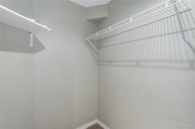 view of spacious closet