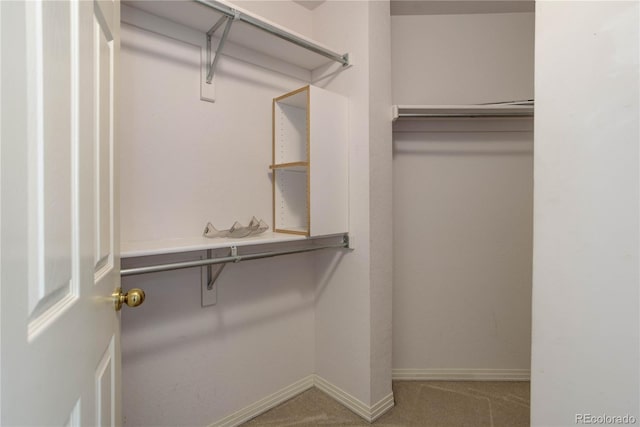 spacious closet with carpet