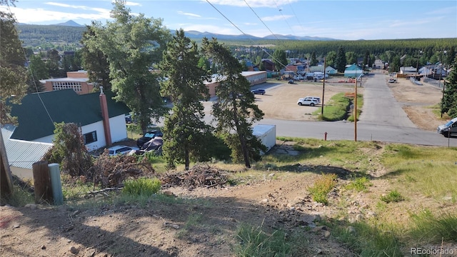 332 W 6th St, Leadville, CO 80461 - photo 4