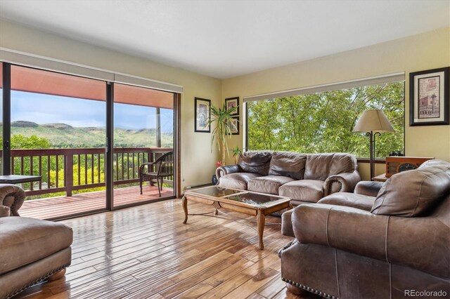 2605 Cactus Cir, Golden, CO 80401 - photo 12