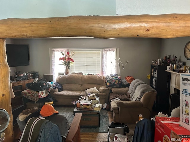 living room featuring wood-type flooring