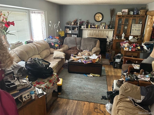 living room with hardwood / wood-style floors