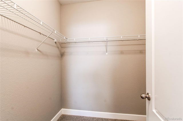 spacious closet with carpet