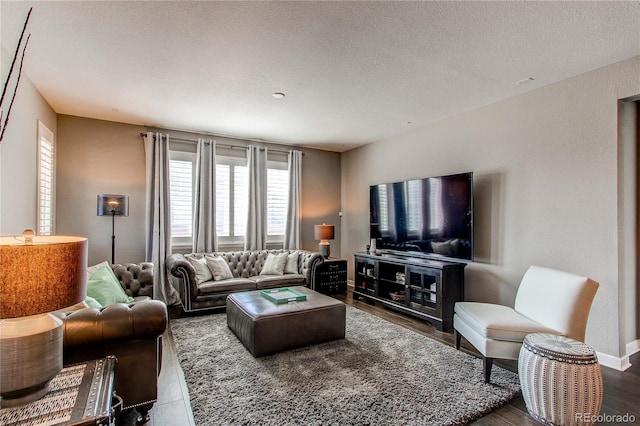 living area featuring a textured ceiling, wood finished floors, and baseboards