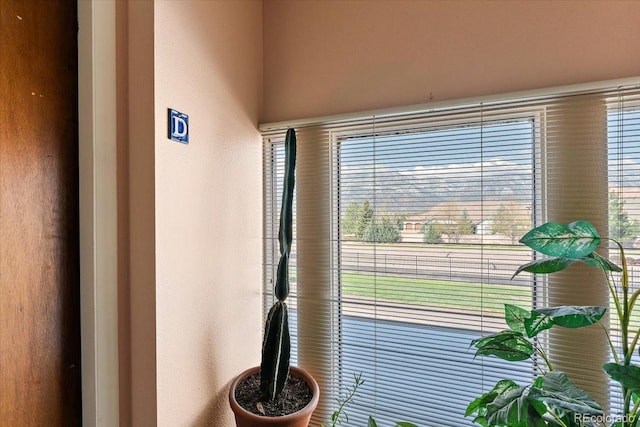 2979 Mesa Rd Unit D, Colorado Springs, CO 80904 - detailed view of a textured wall
