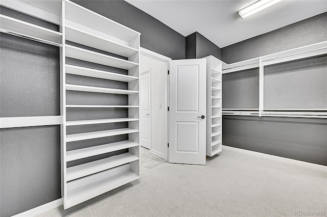 walk in closet featuring carpet