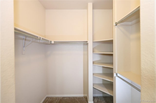 15501 E 112th Ave Unit 20C, Commerce City, CO 80022 - view of walk in closet