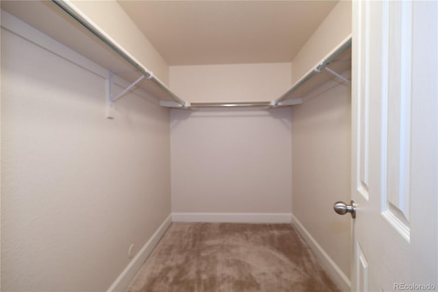 15501 E 112th Ave Unit 20C, Commerce City, CO 80022 - walk in closet with carpet