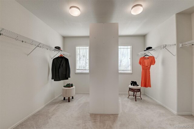 spacious closet featuring light carpet