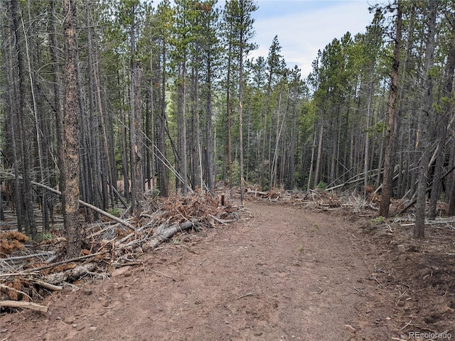 3331 Purnell Ln, Fort Garland, CO 81133 - photo 9