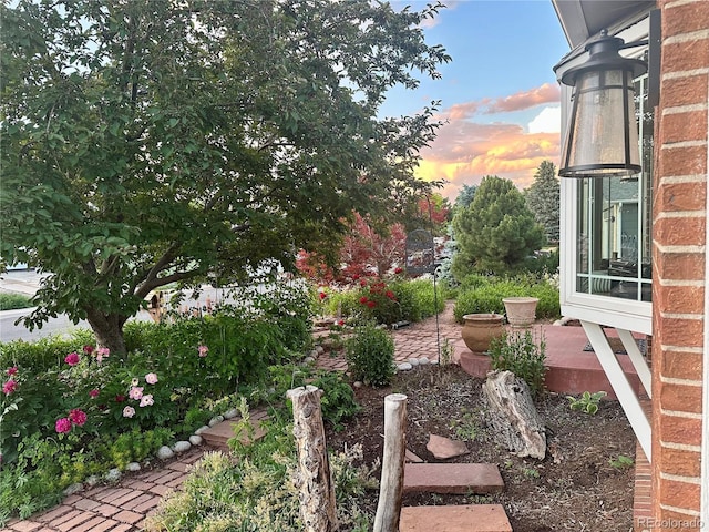 6248 W 75th, Arvada, CO 80003 - view of yard at dusk