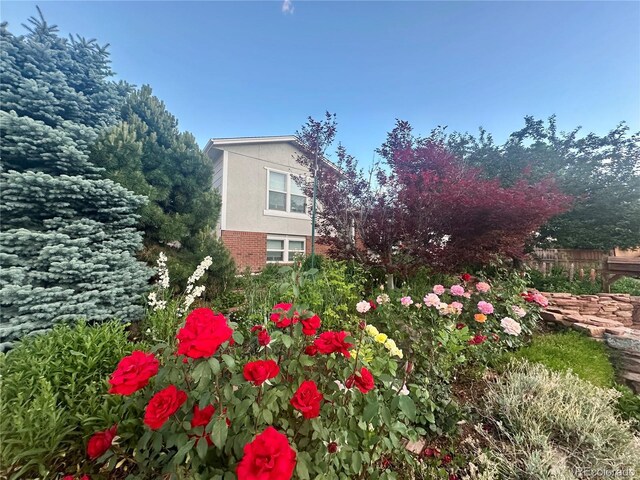 6248 W 75th, Arvada, CO 80003 - view of side of home with brick siding