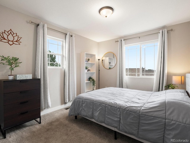 229 W Jamison Ct, Littleton, CO 80120 - photo 24