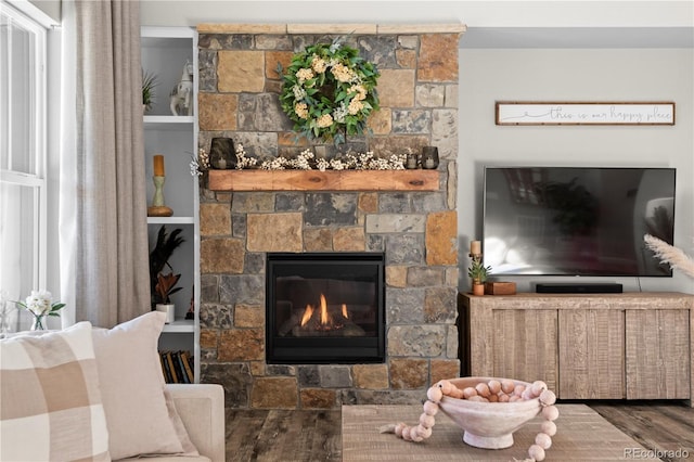 living area featuring wood finished floors and a fireplace