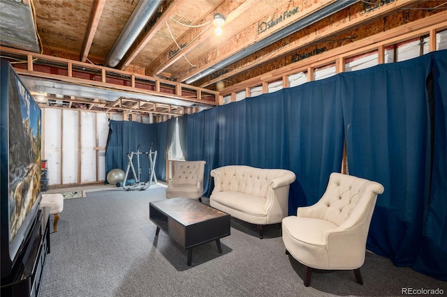 5033 Goshawk Ct, Brighton, CO 80601 - below grade area with carpet and plenty of natural light
