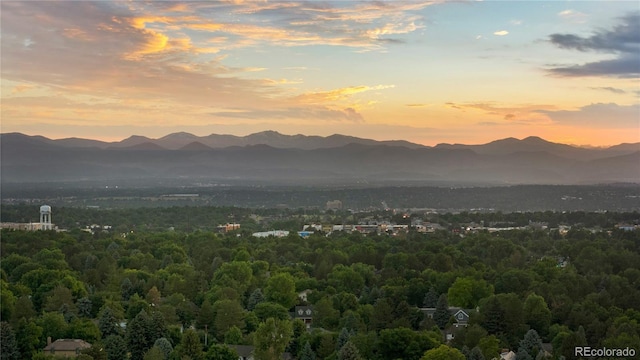 mountain view featuring a forest view