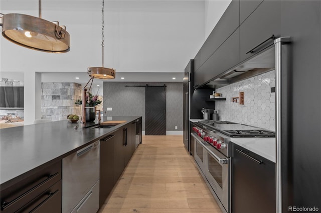 kitchen with a sink, appliances with stainless steel finishes, a barn door, modern cabinets, and light wood-type flooring