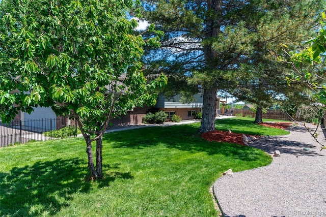 16225 W 74th Dr, Arvada, CO 80007 - view of yard