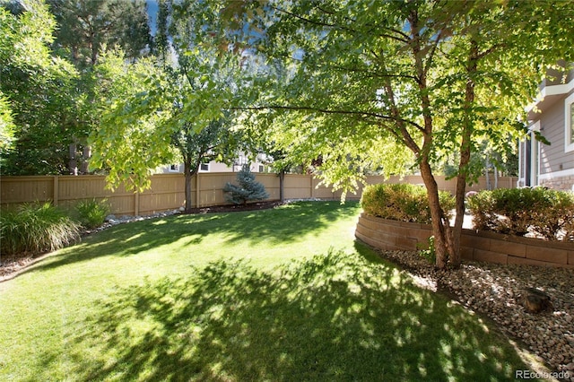 view of yard featuring a fenced backyard