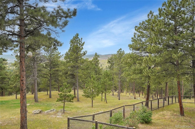 view of yard featuring a mountain view