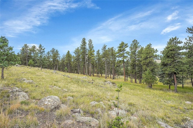 view of local wilderness