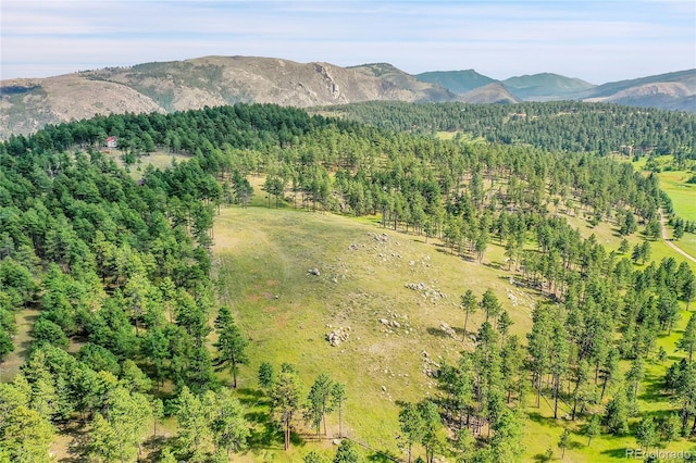 bird's eye view with a mountain view