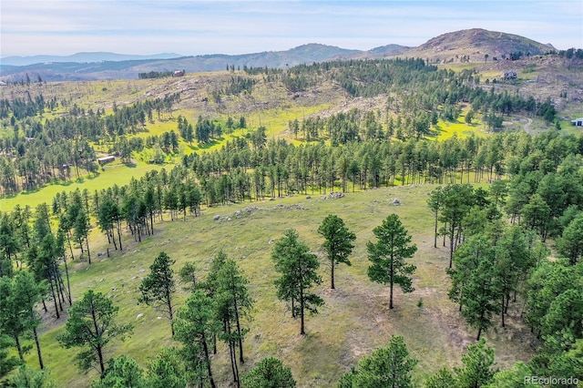 aerial view featuring a mountain view and a rural view