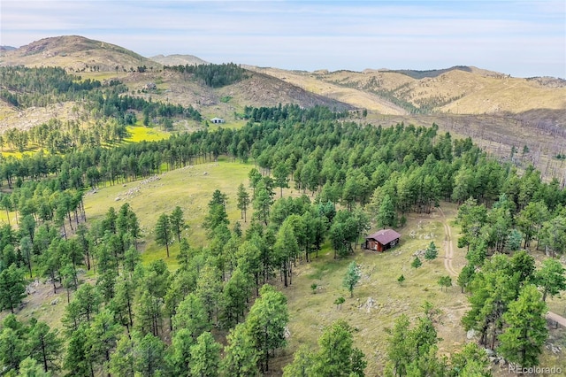 aerial view with a mountain view